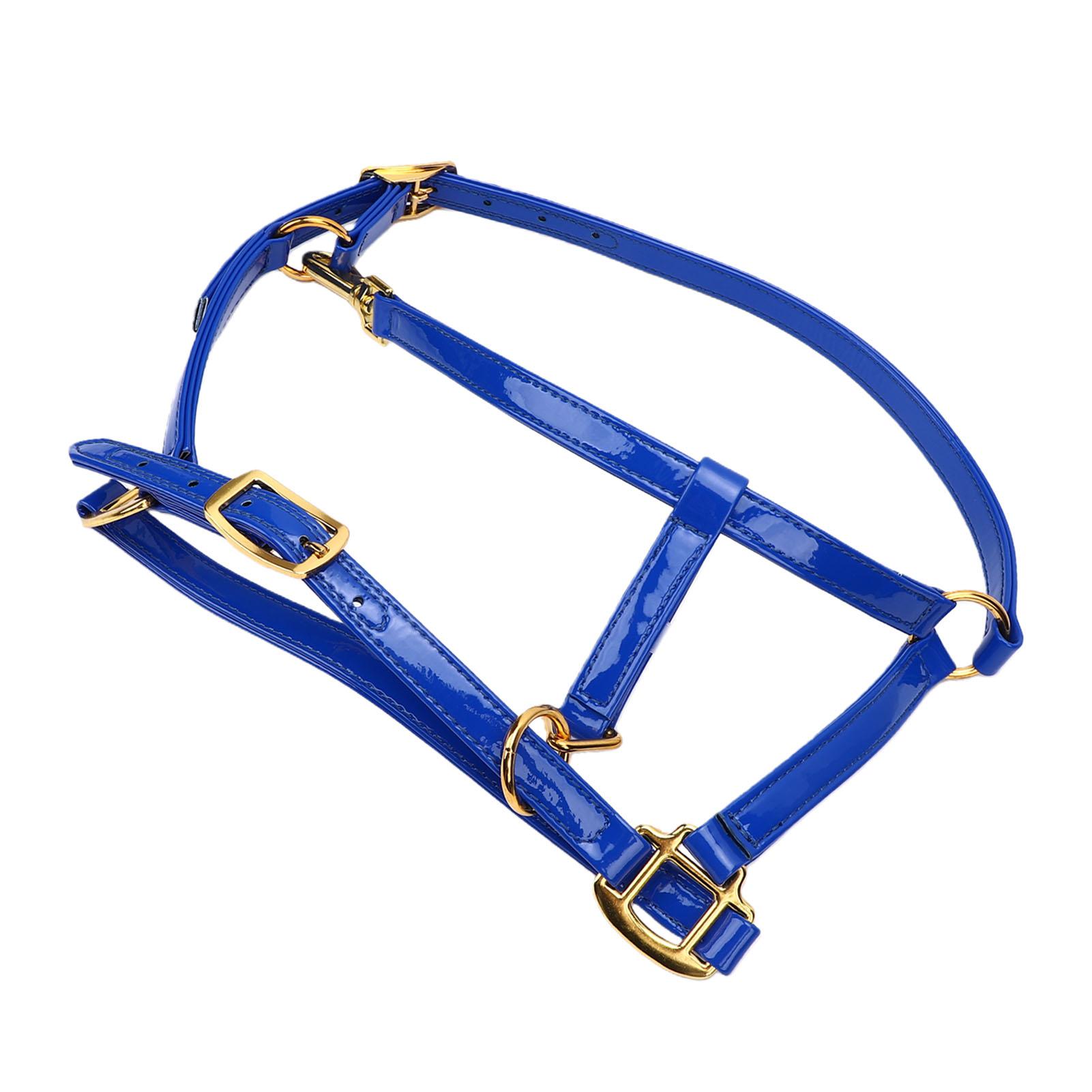 

20mm Horse Bridle Leather Double Layer Horse Halter Easy Cleaning Water Proof Blue