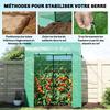 Garden Greenhouse, Balcony, PE Film, Steel Frame, 170 x 68 x 200 cm, Green