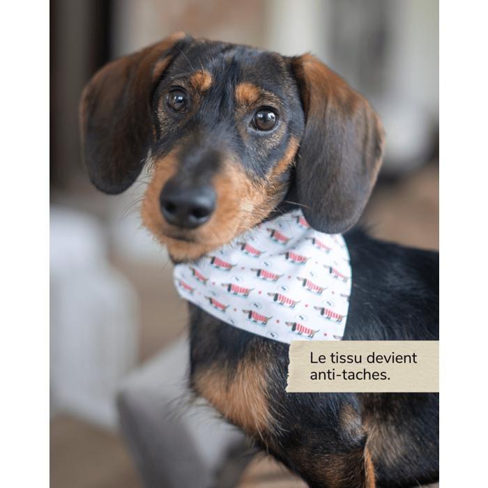 Gel colle imperméabilisant pour tissu - ODIF - Odicoat - 250 ml