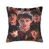 Pillow Cover Will Byers   Cute Funny Pillow Case For Living Room Bed Chair Pillowcases