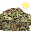Fuding Gongmei White Tea Taimu Mountain Loose Leaf Bai Cha 500g