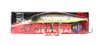 DUO Realis Jerkbait 100 DR Esca sospesa per immersioni profonde DEA3341 (0572)