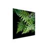 Glass Protective Plate for the Stove 50x52 Leaf