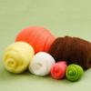 Animal Succulent Plant Needle Felting Supply, Beginner Wool Felt Tool with Needle, Instruction, Wool Roving, Wood Handle