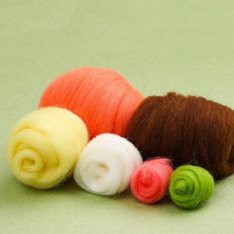 Animal Succulent Plant Needle Felting Supply, Beginner Wool Felt Tool with Needle, Instruction, Wool Roving, Wood Handle