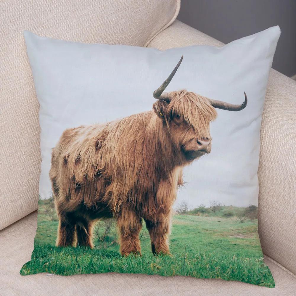 Scotland Kyloe Pillow Case Decor Wild Cow Colorful Animal Print Pillowcase Soft Short Plush Cushion Cover for Home Sofa 45x45cm