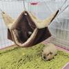 Hammock Birds Plush Hanging House Small Animals Squirrel Double Layer Hammock Beds Parrot Nest Squirrel Warm House