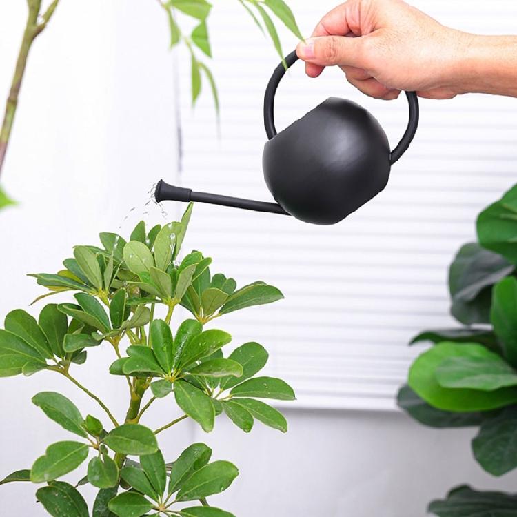 Watering Can Small Watering Can for Indoor Plant Stainless Steel Indoor Watering Can with Long Spout 35oz/400ml
