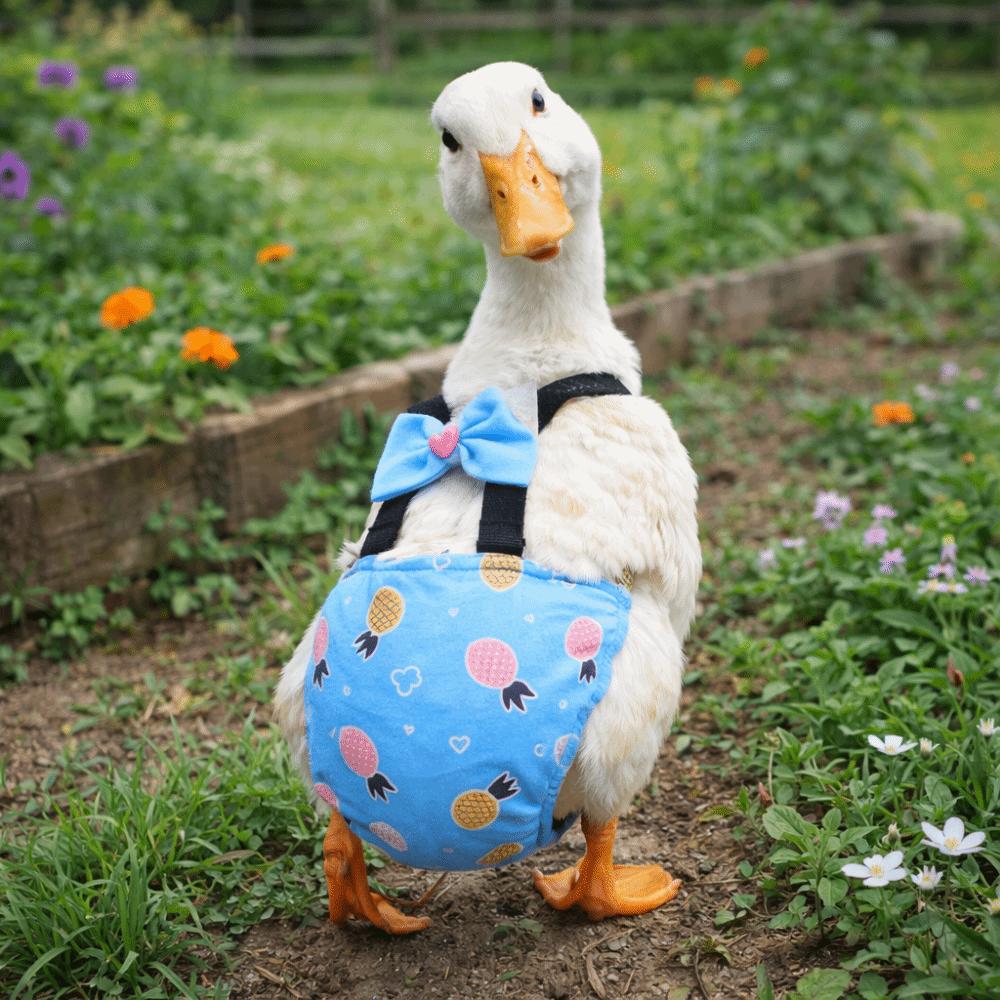 Bowknot Design Chicken Physiological Pants Adjustable Poultry Costume Duck Diapers  Pet Chicken