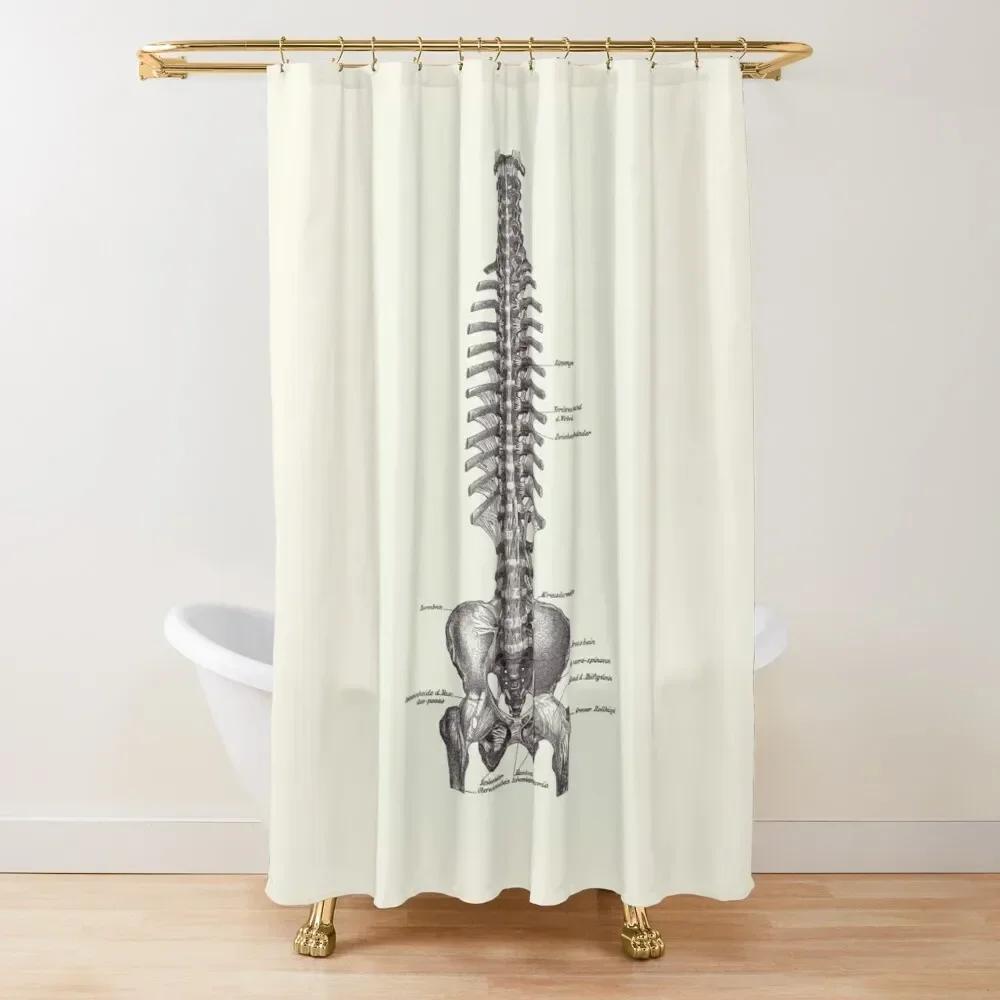 Biology Floral Stall Shower Curtain, Vintage Garden Plants Herbs Flowers Botanical Design, Fabric Bathroom Decor Set With Hooks