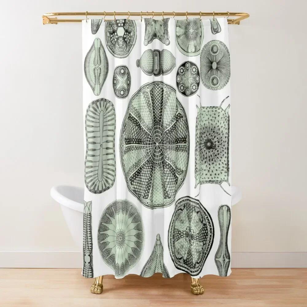 Biology Floral Stall Shower Curtain, Vintage Garden Plants Herbs Flowers Botanical Design, Fabric Bathroom Decor Set With Hooks