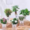 Self Watering Plant Pot Flower Pot with Deep Clear Reservoir Modern Planter with Wick Ropes for Houseplants Indoor Pothos