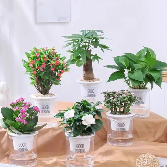 Self Watering Plant Pot Flower Pot with Deep Clear Reservoir Modern Planter with Wick Ropes for Houseplants Indoor Pothos
