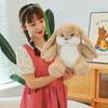 Fluffy Bunny Plush Toy Pillow Stuffed Animal Cute Birthday Gift For Girls 30-60cm