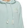 Adidas Adicolor Hoodie Hs1998hs1999