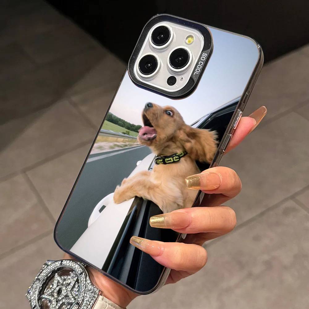 F-Funny Dog Phone Case For iPhone 17,16,15,14,13,12,11 Plus,Pro Max,XS,Colorful Silver Black Cover