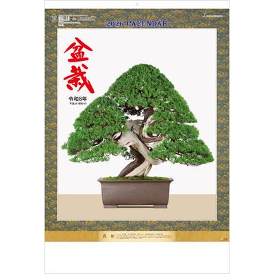 Todan 2026 Wall Calendar Bonsai X 76.6 51.5cm TD-624
