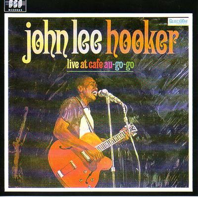 CD JOHN LEE HOOKER - Cafe Au Go-Go'da Canlı BGOCD39 BGO Records UK Blues Kullanılmış