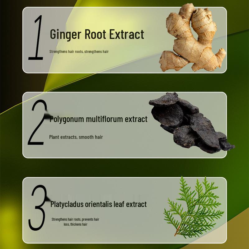 Ginger Plant Extract Anti-Hair Loss Shampoo for Hair Growth and Care Standard Size