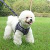 Small Dog Harness Vest Set Cute Traction Bracelet Medium Cat Collar Suit Soft Puppy Vest Harness Adjustable Pet Accessories
