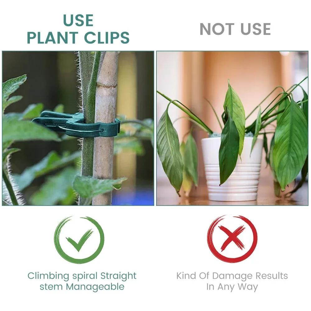 20-500Pcs Plant Fixed Clips Reusable Greenhouse Bracket Fixing Stems Flower Vine Vegetables Tomatoes Fastener Garden Supplies