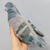 Cross-border Plush Pigeon Doll: Bird Ornament & Home Decor