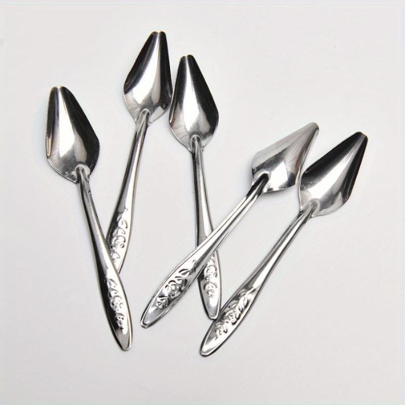 5pcs Stainless Steel Hand Feeding Spoon Suitable for Various Birds Parrots Medicine Milk Powder Feeding Tools.