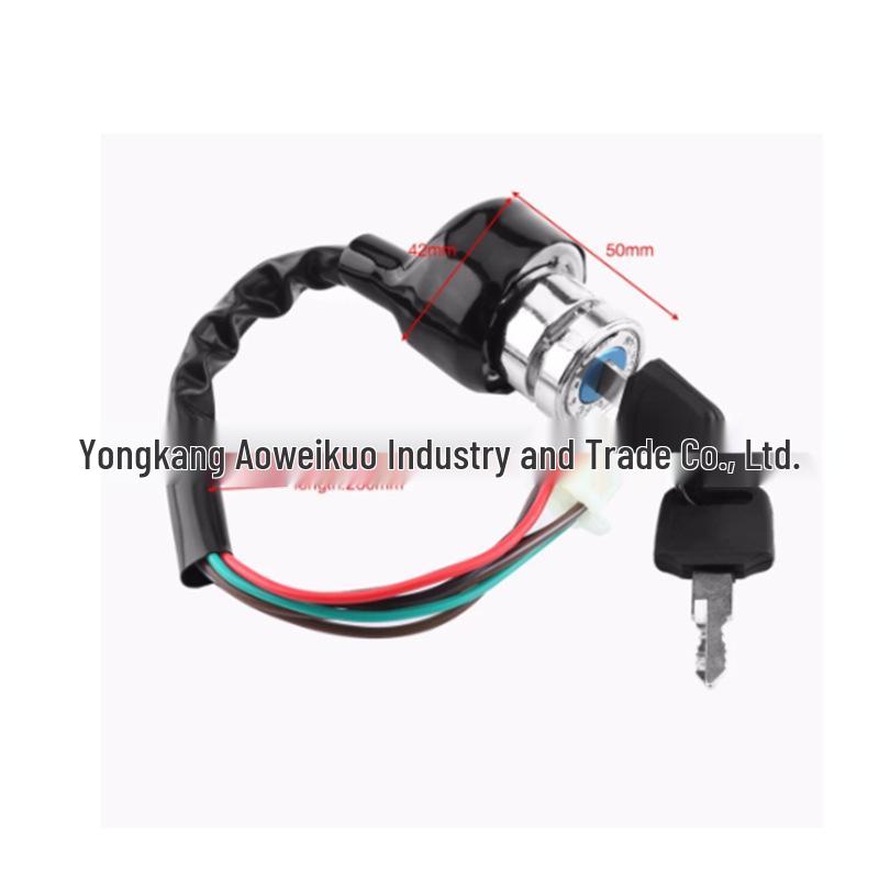 9-Hole 6-Wire ATV Buggy Ignition Switch & Door Lock Key