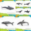 Childrens Marine Animal Pvc Model Set With Realistic Cetacean Figures For Educational Play
