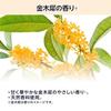 Large Capacity Pax Naturon Hand Cream Kinmokusei 90g