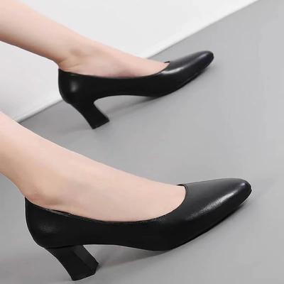 Zapatos de Moda Mujer 2024 Nuevo Un Zapato de Tacón para Mujer Otoño Puntera Puntiaguda Sólido Vestido Fiesta Tacón Cuadrado Poco Profundo Talla Grande Zapatos Profesionales