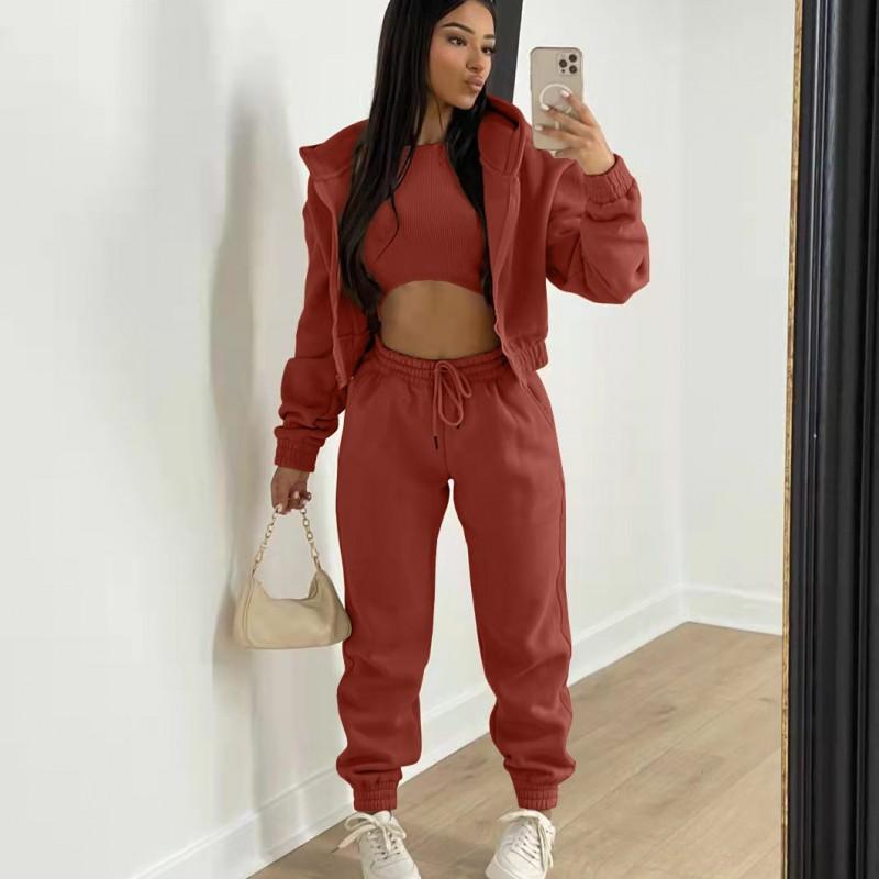 Womens 2026 Warm Fleece-Lined Hooded Sweatshirt Set 3-Piece Casual Streetwear Outfit In Pink Orange Gray Black Brown Khaki
