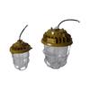 Liangtu LED Explosion-Proof Industrial Light