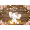 Happy Birthday Elephant Baby Photo Backdrop Children’s Photography Background Prop