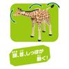 TAKARA TOMY Ania Girafa Animal Dinozaur Jucărie Vârstele AL-30 (Girafă reticulata) 3+