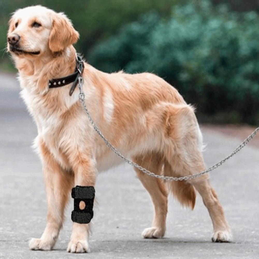 Adjustable Pet Joint Protection Covers Breathable Comfortable Dog Knee Brace Rear Leg Brace Dog Arthritis Protector Leg Wrap