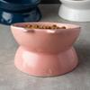 Double-Eared Slanted Ceramic Cat Bowl - Matte Glaze, Anti-Black Chin, Cervical Spine Support, Cute Design