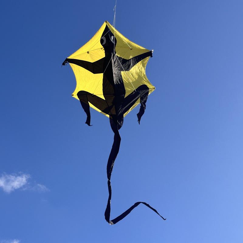 Long-tailed Gecko Kite: Easy to Fly in Light Breeze