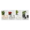 Breathable Holes Visible Water Level Flower Pot Lazy Automatic Water-Absorbing Flowerpot Garden Supplies