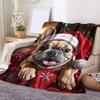 1Pc Cartoon Print Flannel Blanket, High Quality Comfortable for All Seasons, Home Decor, Warmth and Comfort, Perfect for Christmas Birthday Gift