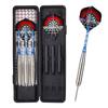High Stability Durable PENPEN Iron Factory Brass Darts Set 20g Customizable