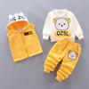 Seturi de haine pentru bebeluși de toamnă iarnă din lână groasă de desene animate urs jachetă pantaloni 3 buc costum sport din bumbac pentru fete ținute calde