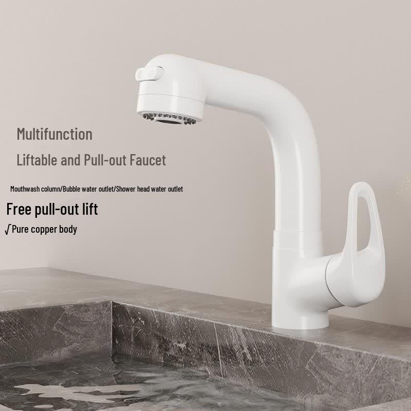Tai Ju Fu Pull-Out Basin Faucet