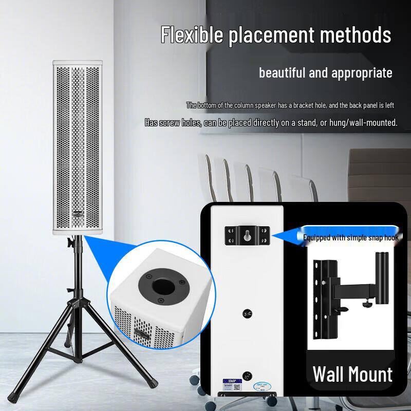 SAST Conference Room Wall-Mounted Speaker System CN plug (adapter included)