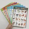 Early Education Posters: Animals, Food, Fruits, Vehicles & French Learning Cards for Kids