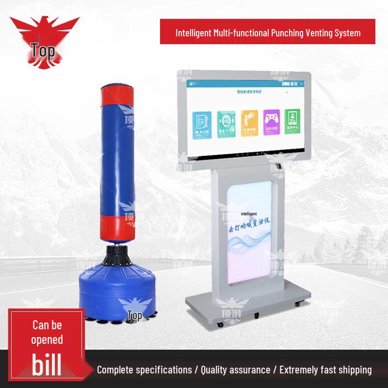 Dingpai Professional Stress Relief Training System