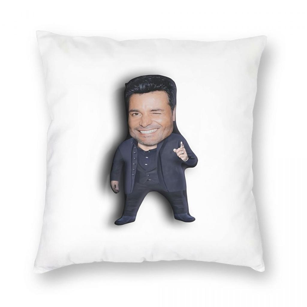 Chayanne Puerto Rican Latin Pop Singer Pillowcase Printing Fabric Cushion Cover Decorations Throw Pillow Case Cover Car Zipper