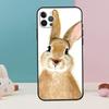 Cute Bunny Rabbit Phone Case For iPhone 17 Air 16 15 13 12 11 14 Pro Max 12 13 mini 15 16 Plus 16e Cover Coque