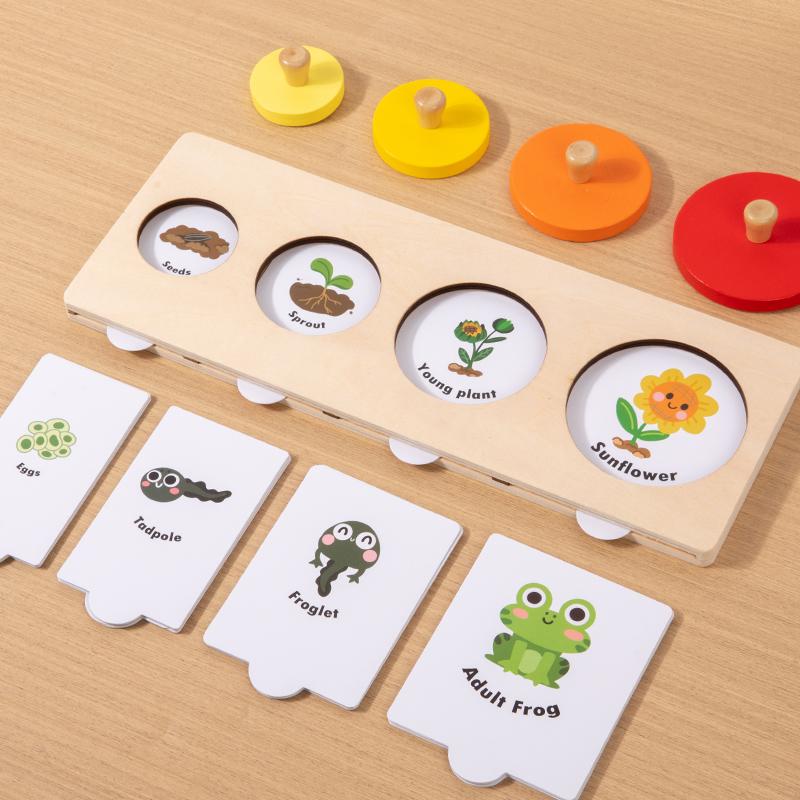 Montessori Educational Children Toy Wooden Sorting Matching Board Growth Process Cognize Preschool Learning Puzzle Game for Kids