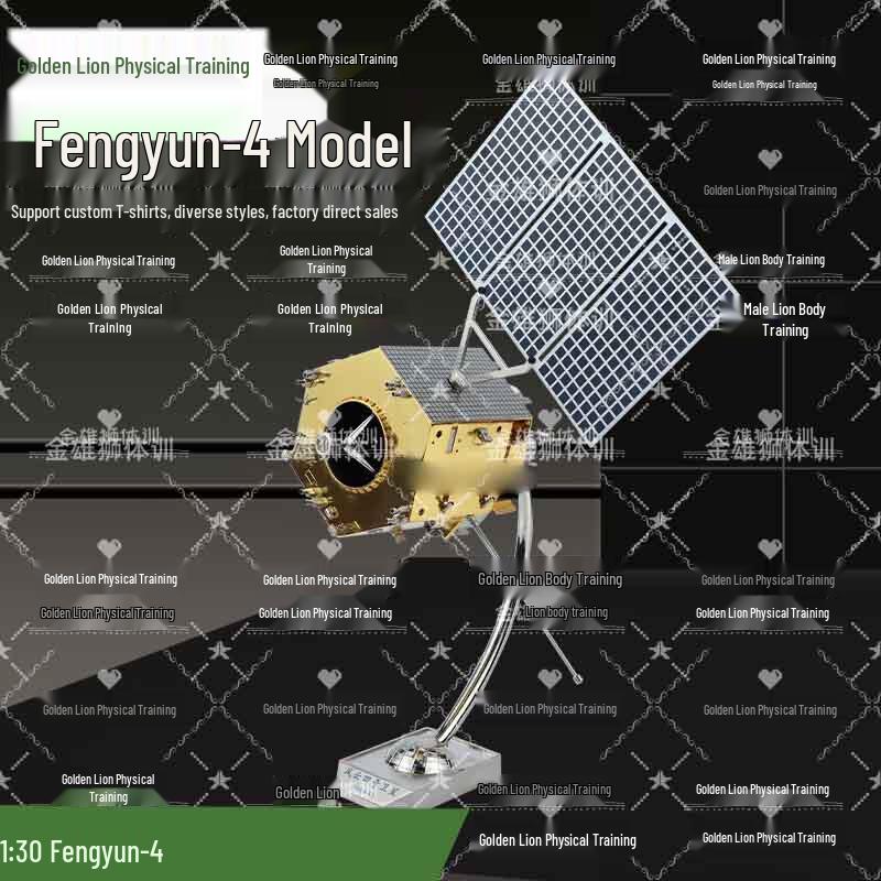 Golden Lion 1:30 Fengyun-4 Satellite Model